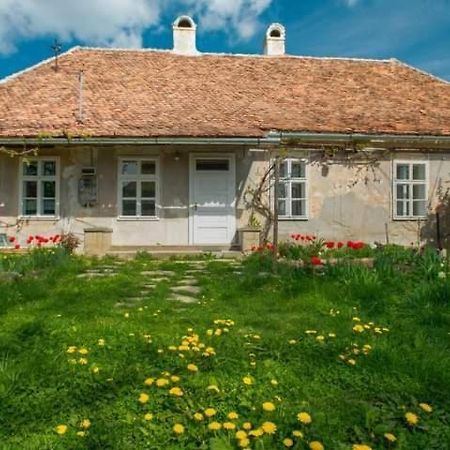 Gaestehaus Fogarasch Фегераш Екстер'єр фото