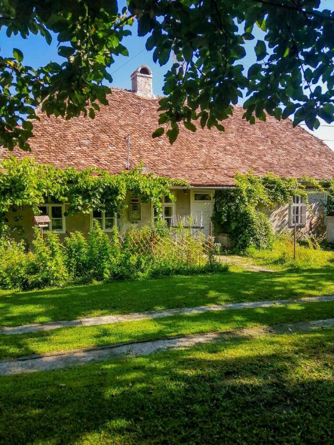 Gaestehaus Fogarasch Фегераш Екстер'єр фото