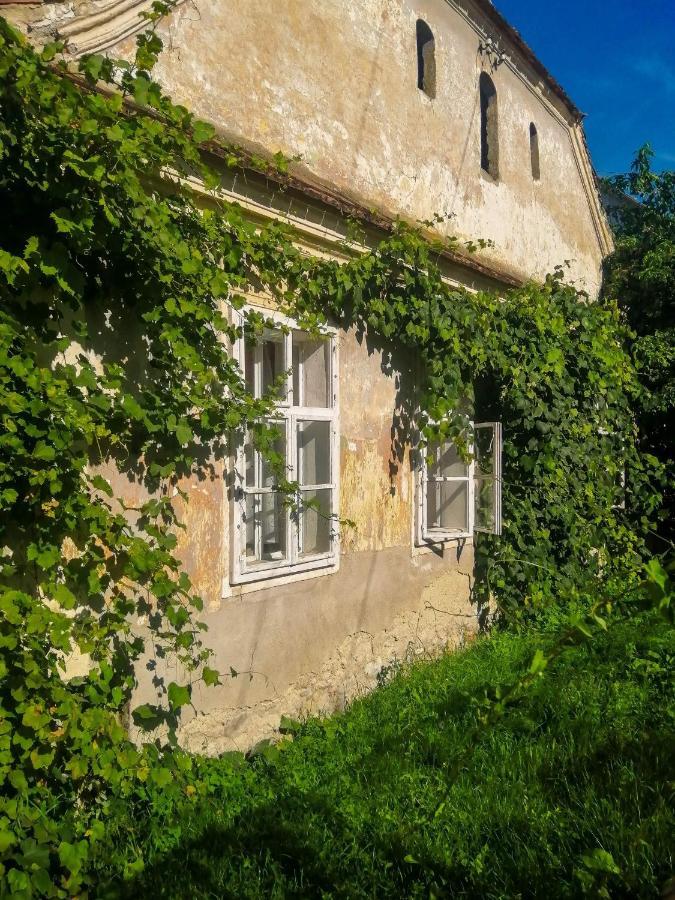 Gaestehaus Fogarasch Фегераш Екстер'єр фото