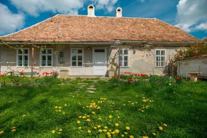 Gaestehaus Fogarasch Фегераш Екстер'єр фото